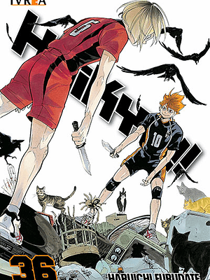 HAIKYU 36