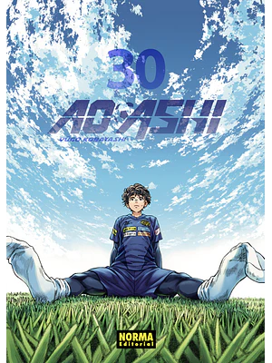 AO ASHI 30