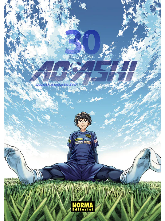 AO ASHI 30 1