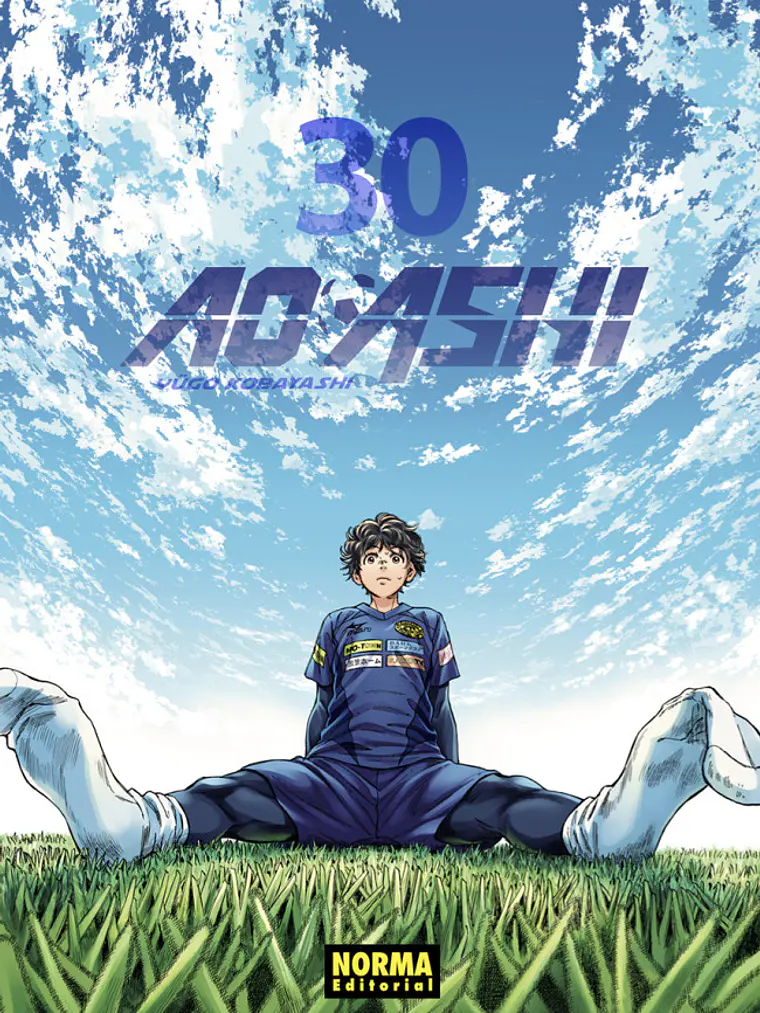 AO ASHI 30 1