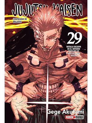 JUJUTSU KAISEN 29 - PANINI ARGENTINA