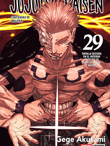 JUJUTSU KAISEN 29 - PANINI ARGENTINA