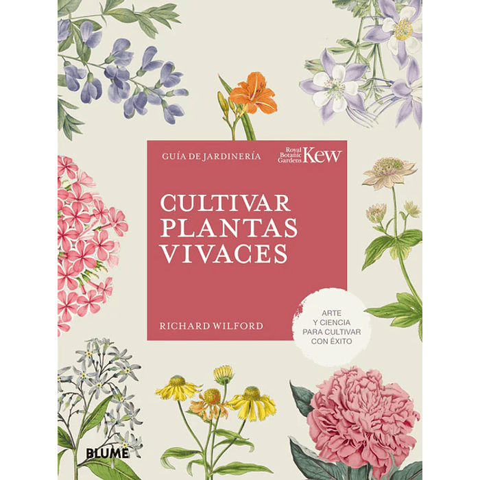 CULTIVAR PLANTAS VIVACES - BLUME