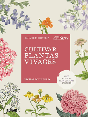 CULTIVAR PLANTAS VIVACES - BLUME