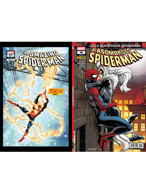 EL ASOMBROSO SPIDERMAN NÚM. 39/250 - PANINI ESPAÑA