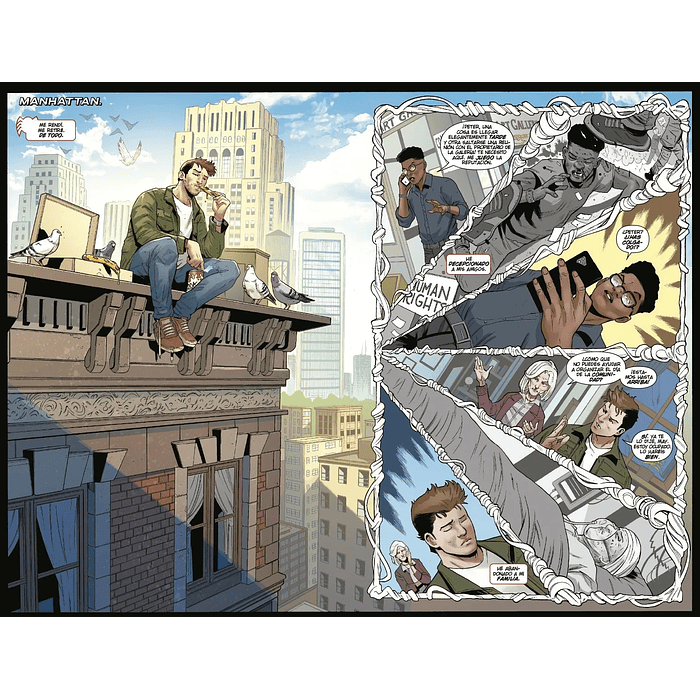 EL ASOMBROSO SPIDERMAN NÚM. 39/250 - PANINI ESPAÑA 4