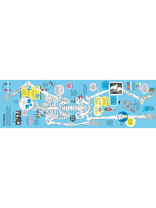 EL GRAN LIBRO DEL CUERPO HUMANO - USBORNE (LOG) 2