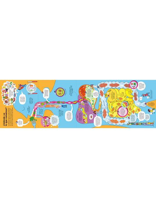 EL GRAN LIBRO DEL CUERPO HUMANO - USBORNE (LOG) 5