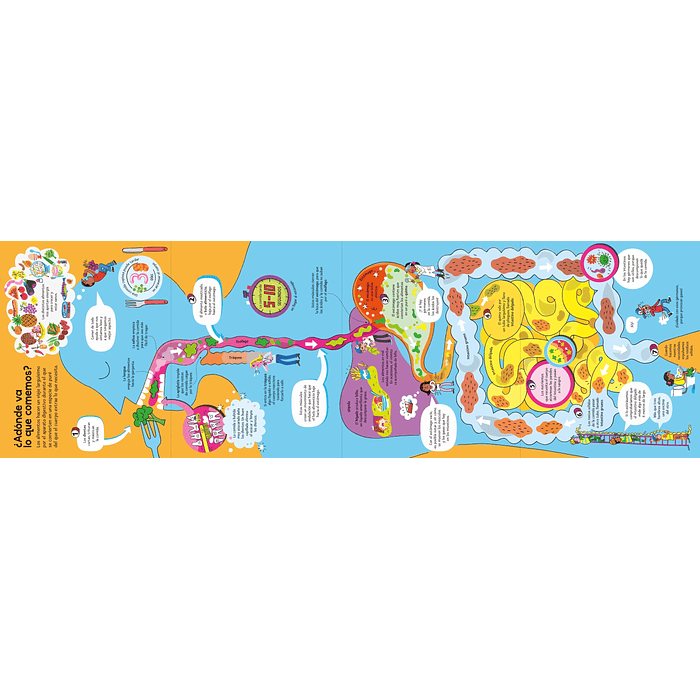 EL GRAN LIBRO DEL CUERPO HUMANO - USBORNE (LOG) 5