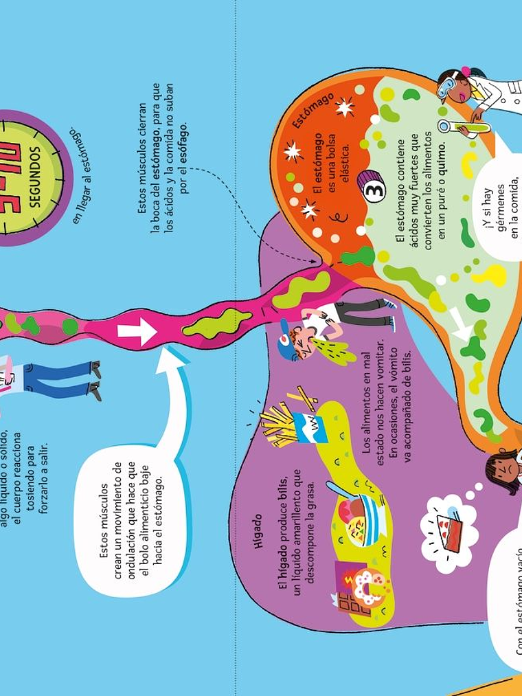 EL GRAN LIBRO DEL CUERPO HUMANO - USBORNE (LOG) 5