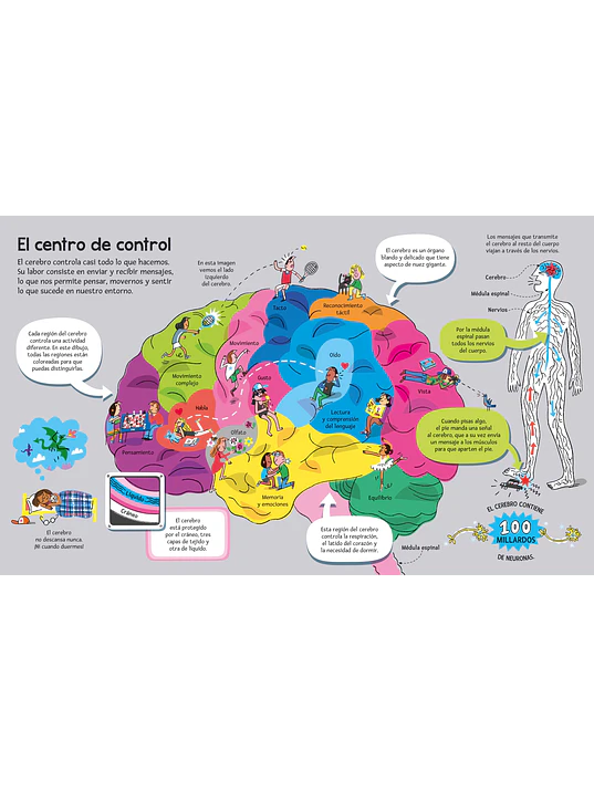EL GRAN LIBRO DEL CUERPO HUMANO - USBORNE (LOG) 6