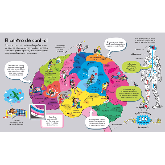 EL GRAN LIBRO DEL CUERPO HUMANO - USBORNE (LOG) 6