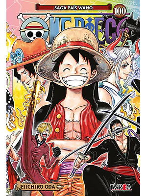 ONE PIECE 100
