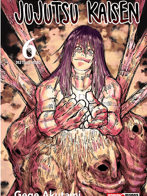 JUJUTSU KAISEN 06 - PANINI ARGENTINA