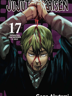 JUJUTSU KAISEN 17 - PANINI ARGENTINA