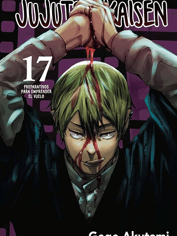 JUJUTSU KAISEN 17 - PANINI ARGENTINA
