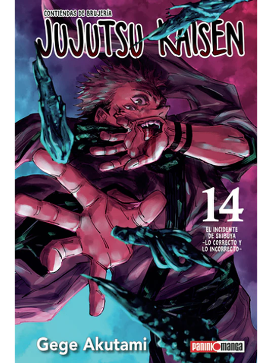 JUJUTSU KAISEN 14 - PANINI ARGENTINA 1