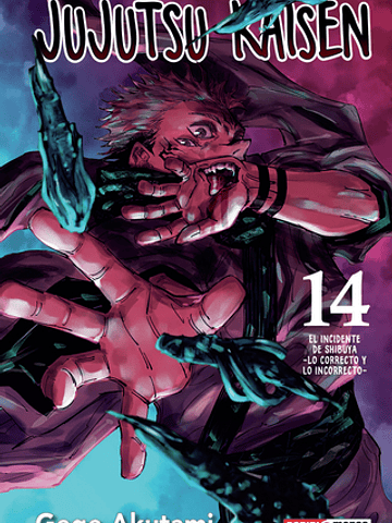 JUJUTSU KAISEN 14 - PANINI ARGENTINA