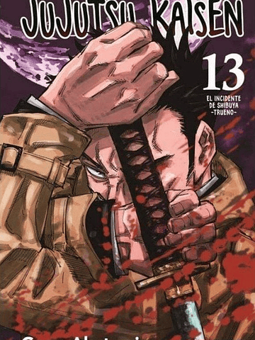 JUJUTSU KAISEN 13 - PANINI ARGENTINA