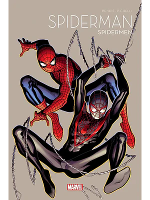 SPIDERMAN 60 ANIVERSARIO 09: SPIDERMAN - PANINI ESPAÑA