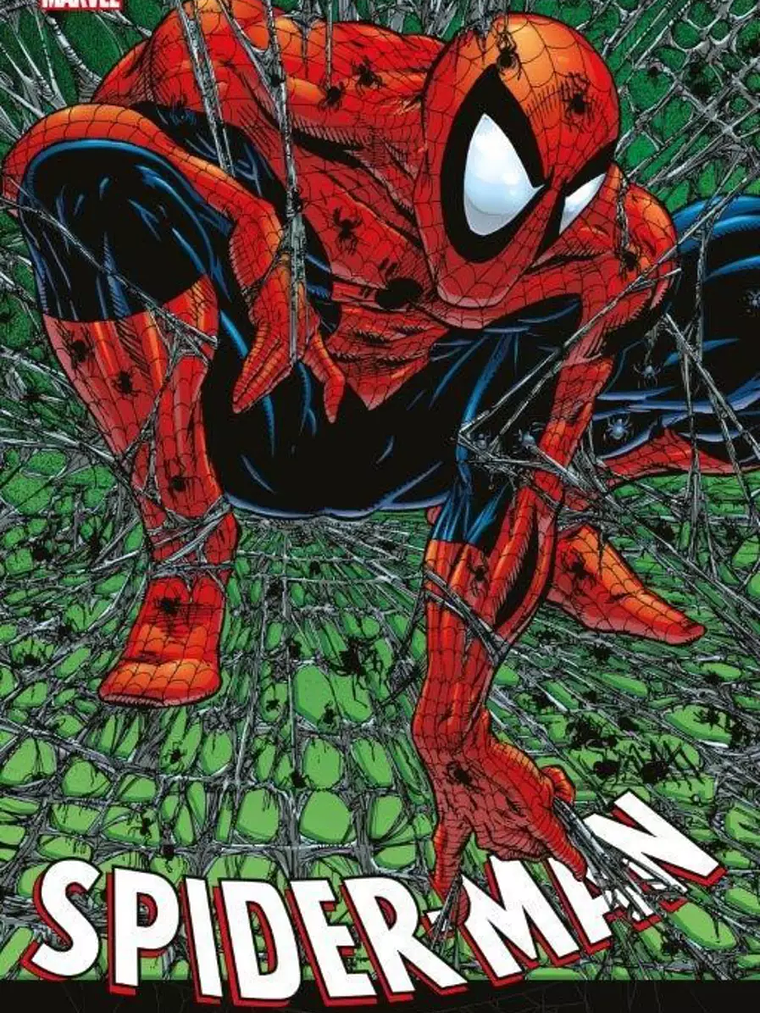 MARVEL OMNIBUS: SPIDERMAN DE TODD MCFARLANE - PANINI LATAM 1