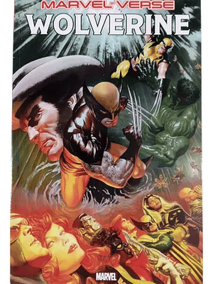 WOLVERINE. MARVEL-VERSE - SMASH