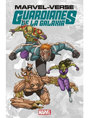 GUARDIANS OF THE GALAXY. MARVEL-VERSE - SMASH