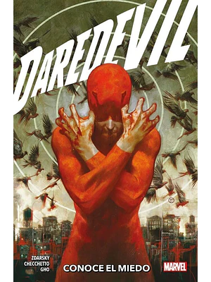 DAREDEVIL TPB VOL. 01: CONOCE EL MIEDO - PANINI LATAM