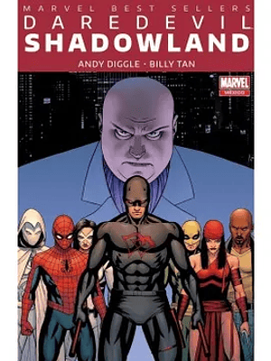 DAREDEVIL: SHADOWLAND. BESTSELLERS - SMASH