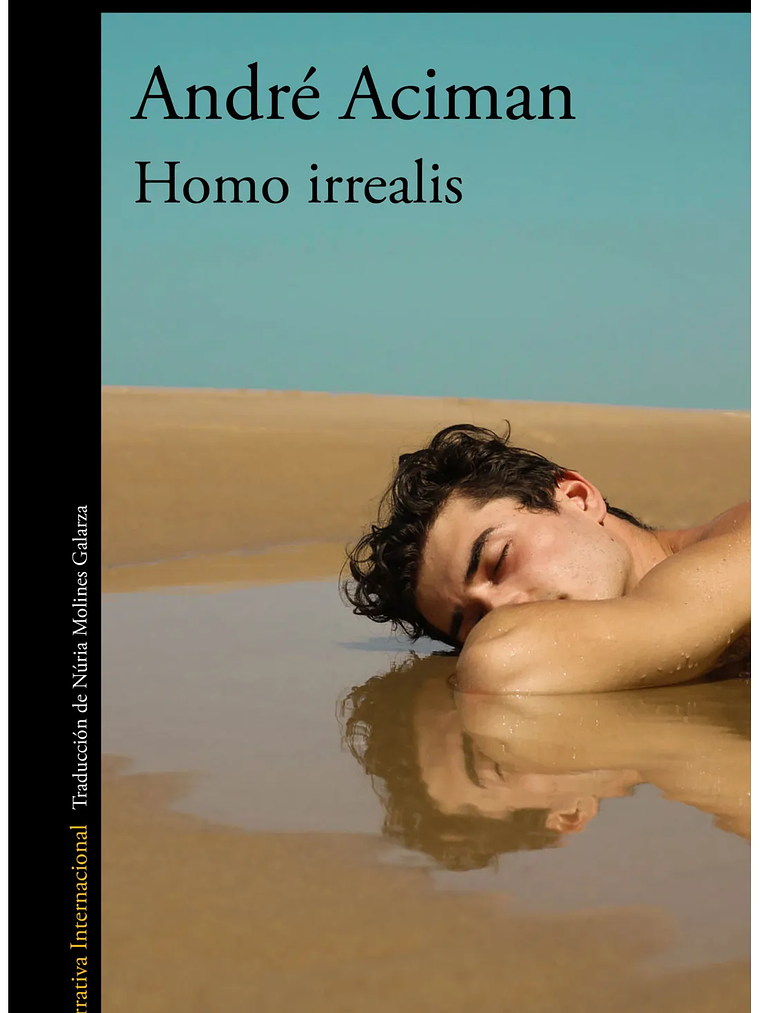 HOMO IRREALIS - ALFAGUARA 1