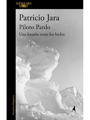 PILOTO PARDO - ALFAGUARA