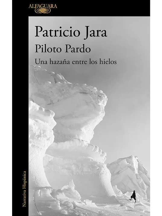 PILOTO PARDO - ALFAGUARA 1