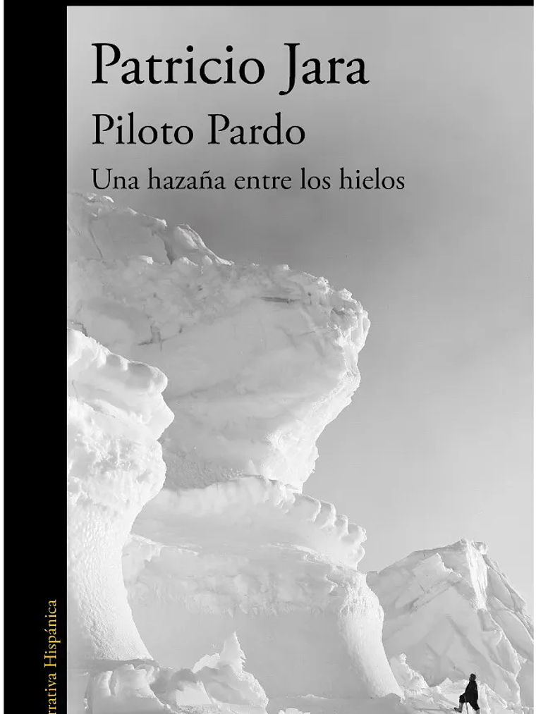 PILOTO PARDO - ALFAGUARA 1