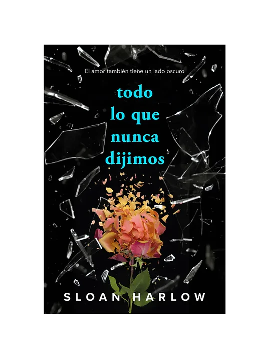 TODO LO QUE NUNCA DIJIMOS - ALFAGUARA 1