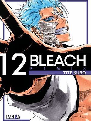 BLEACH EDICIÓN REMIX 12