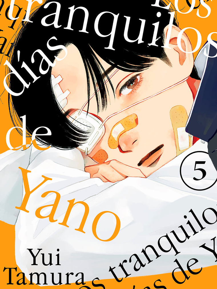 LOS TRANQUILOS DÍAS DE YANO 05 1