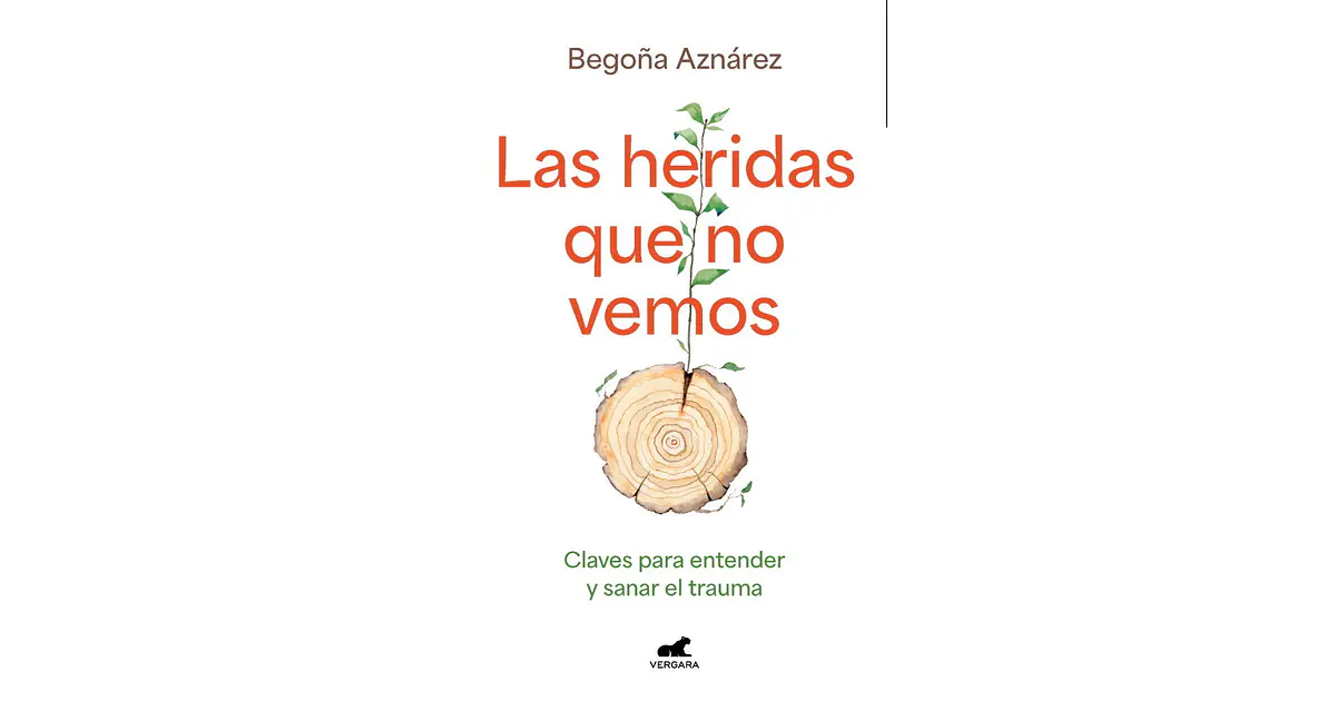 LAS HERIDAS QUE NO VEMOS