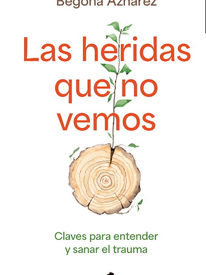 LAS HERIDAS QUE NO VEMOS