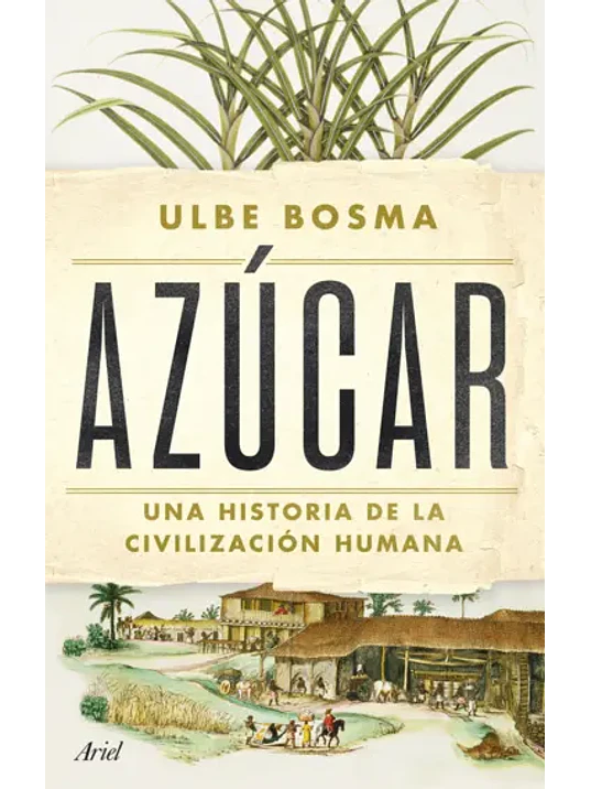AZUCAR 1