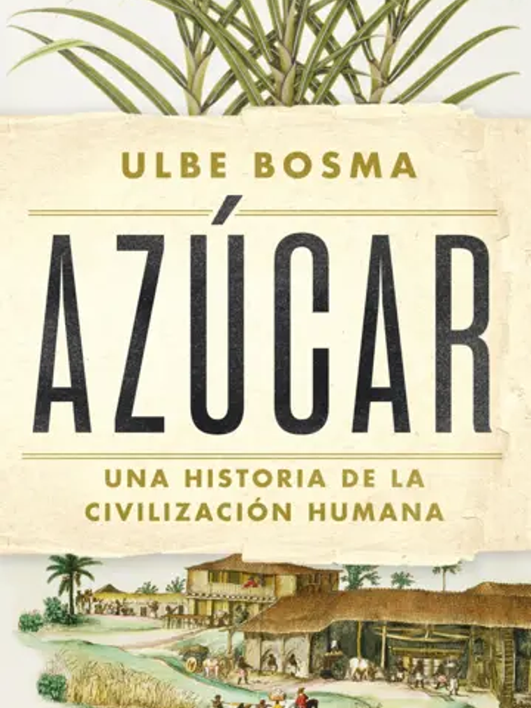 AZUCAR 1