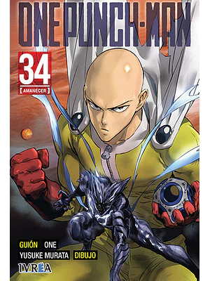 ONE PUNCH MAN 34