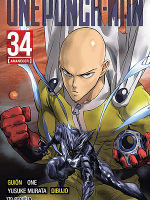 PREVENTA- ONE PUNCH MAN 34