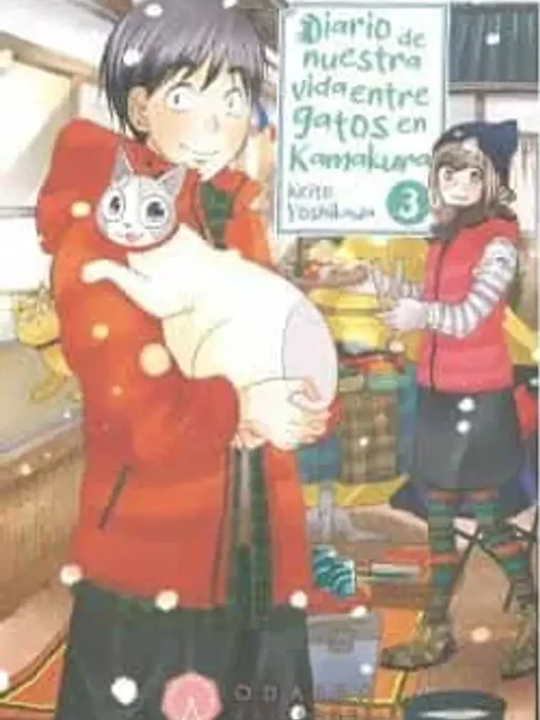 DIARIO DE NUESTRA VIDA ENTRE GATOS EN KAMAKURA 03 - ODAIBA 1