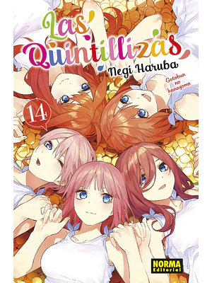 LAS QUINTILLIZAS 14 - NORMA
