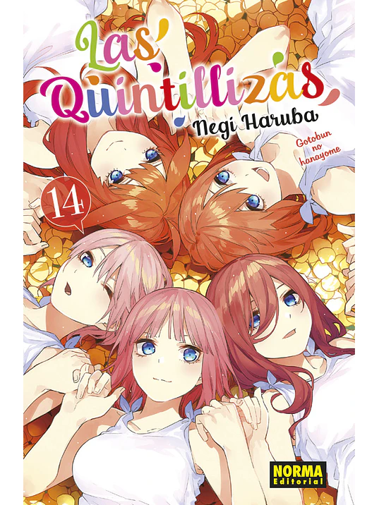 LAS QUINTILLIZAS 14 - NORMA 1