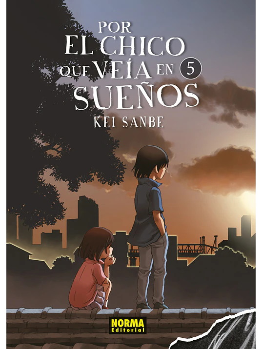 POR EL CHICO QUE VEIA EN SUENOS 05 - NORMA 1