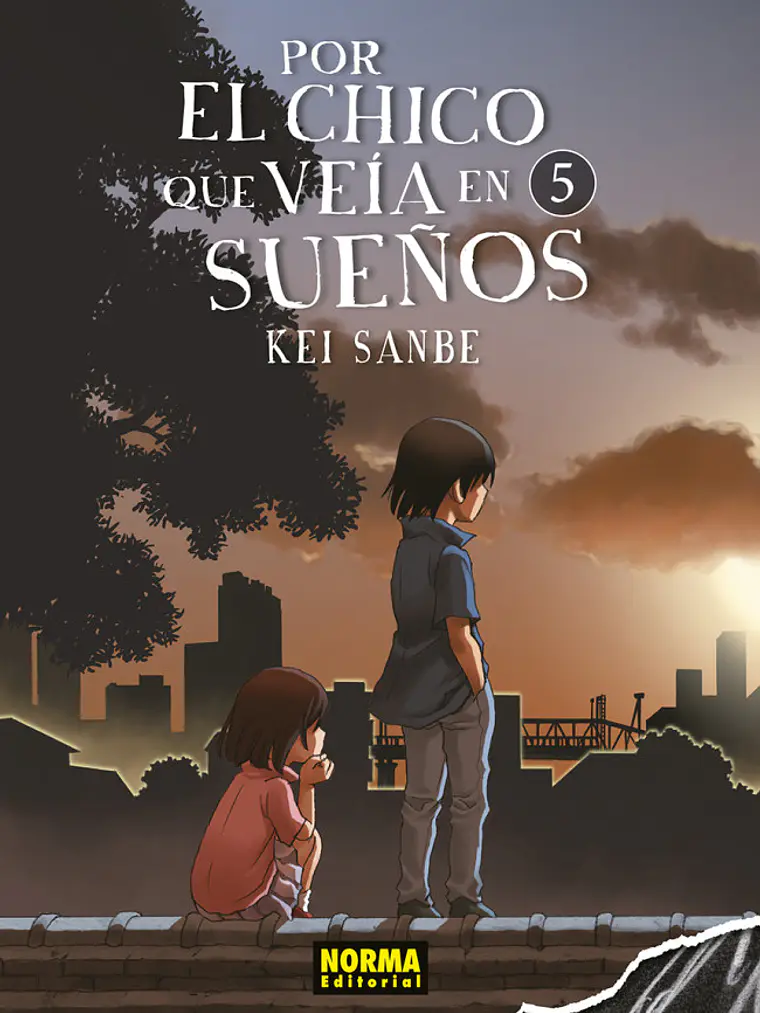 POR EL CHICO QUE VEIA EN SUENOS 05 - NORMA 1