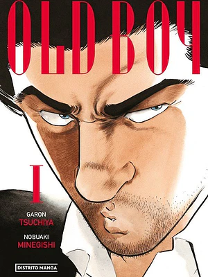 OLD BOY 01 TPB - DISTRITO MANGA