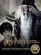 HARRY POTTER: LOS ARCHIVOS DE LAS PELICULAS PACK COMPLETO - NORMA - thumbnail 11