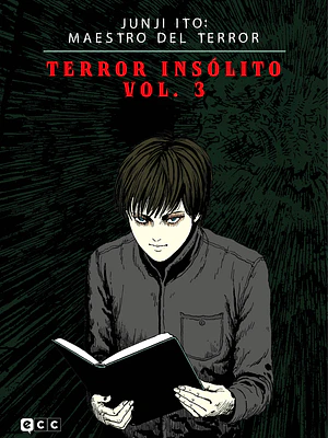 JUNJI ITO: MAESTRO DEL TERROR - TERROR INSÓLITO VOL. 3 DE 3 - ECC